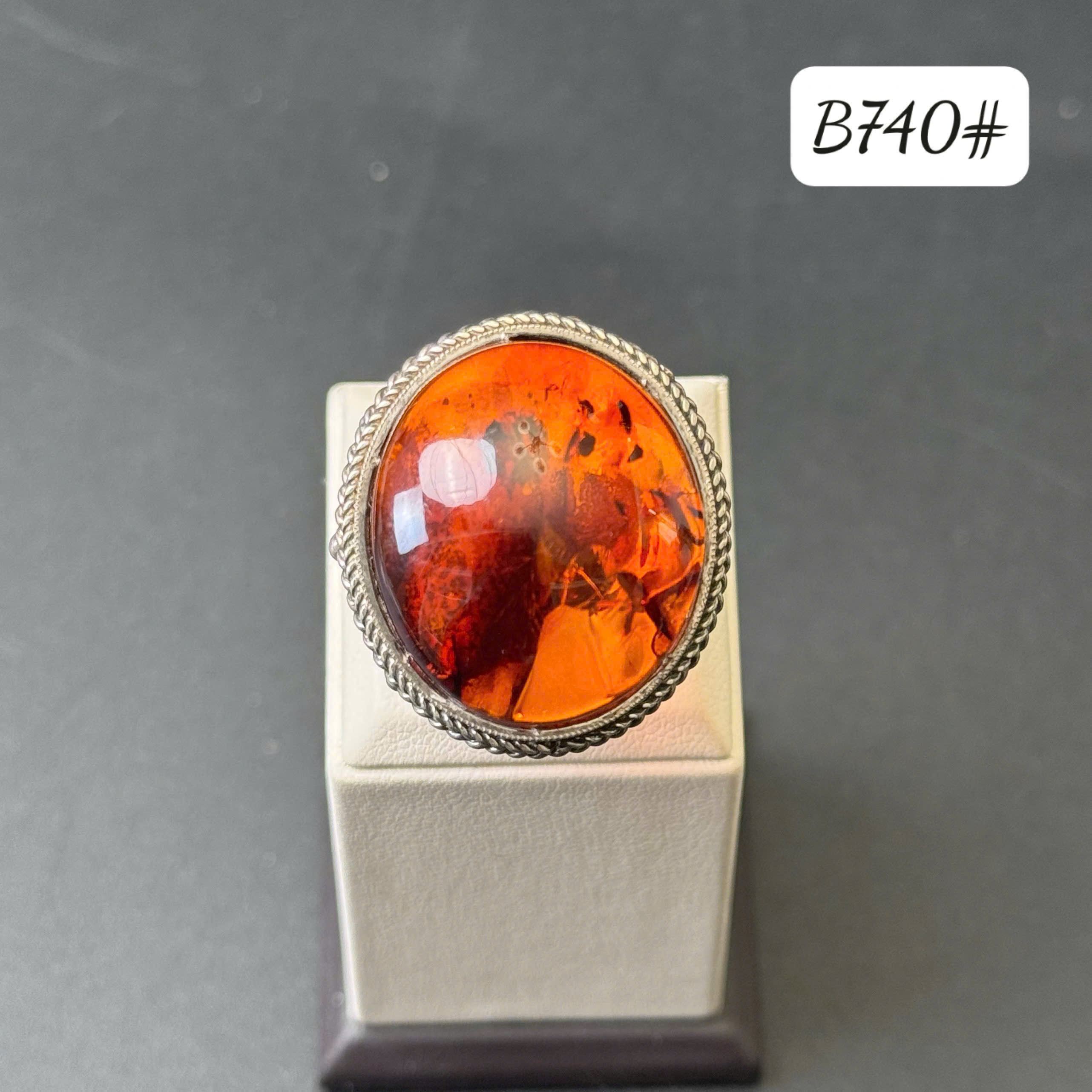 Dẫn conarg nở hoa B740