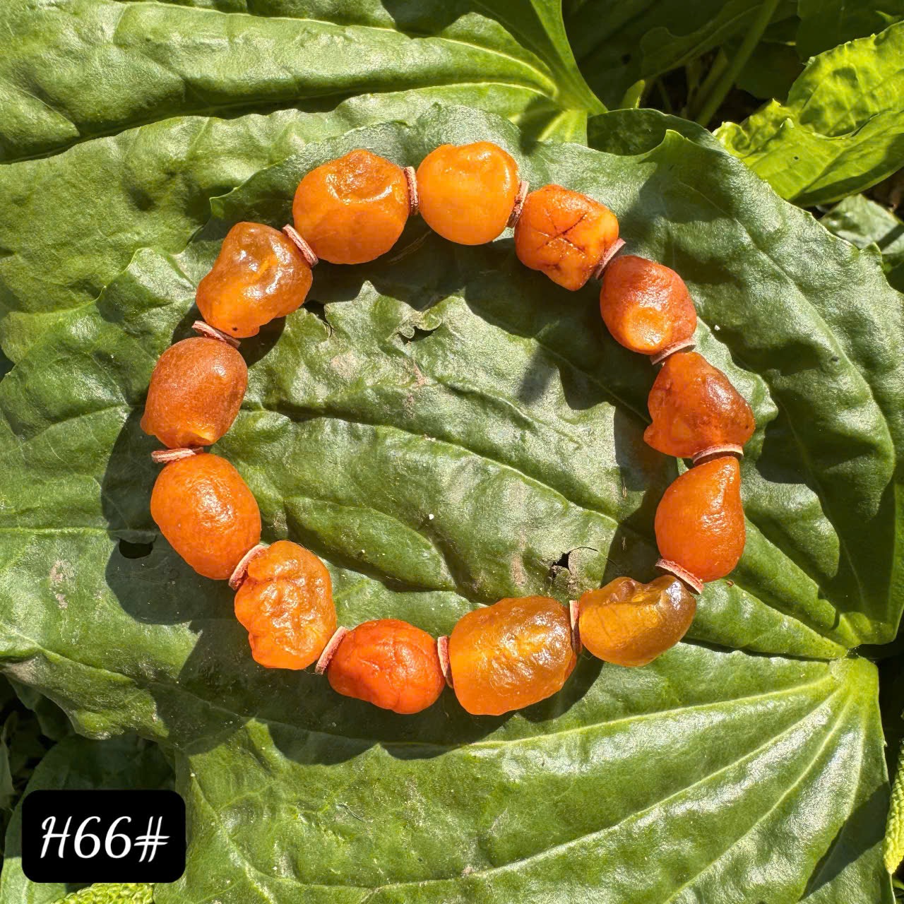 Lắc tay giọt trợ duyên kinh doanh H66