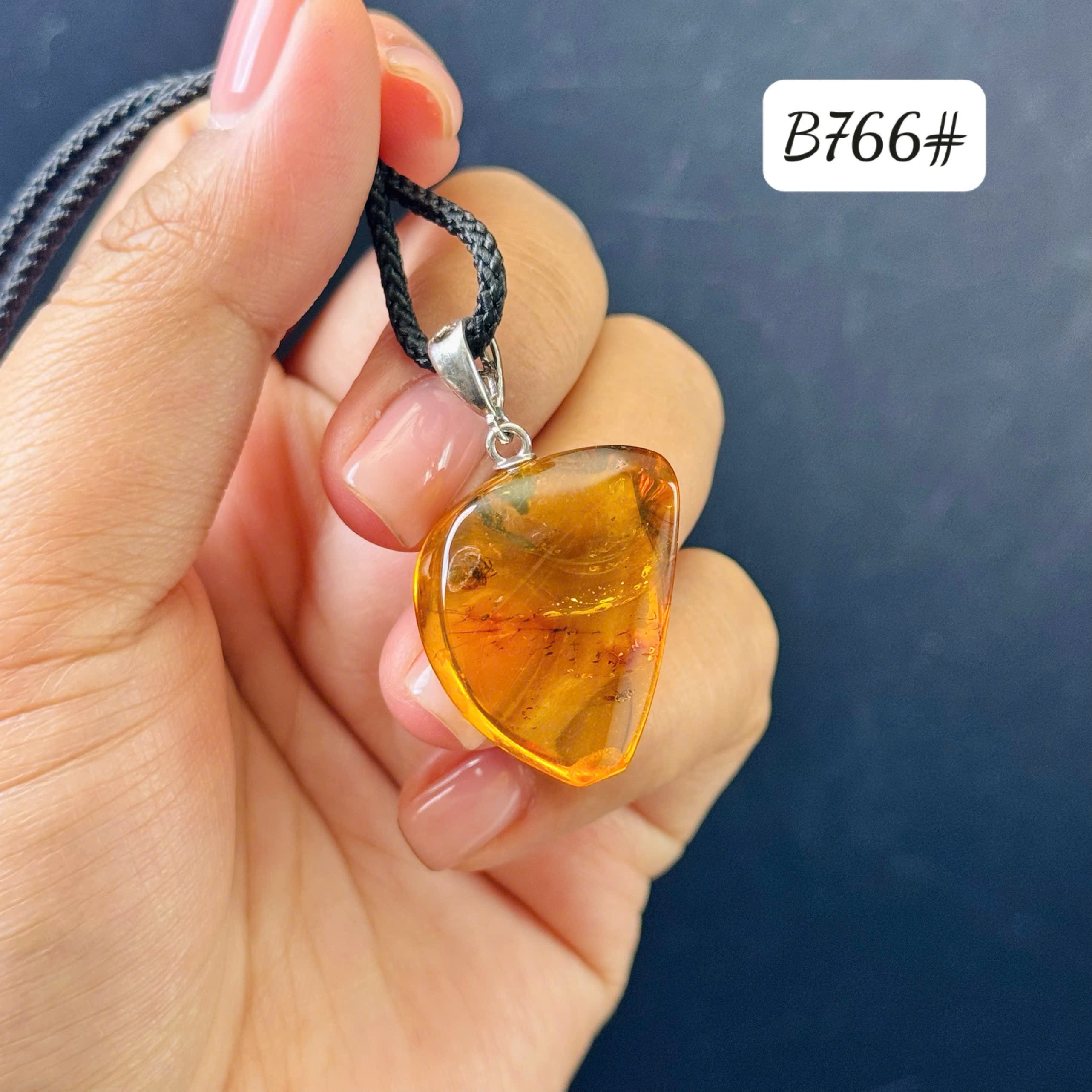 Mặt dây côn trùng B766