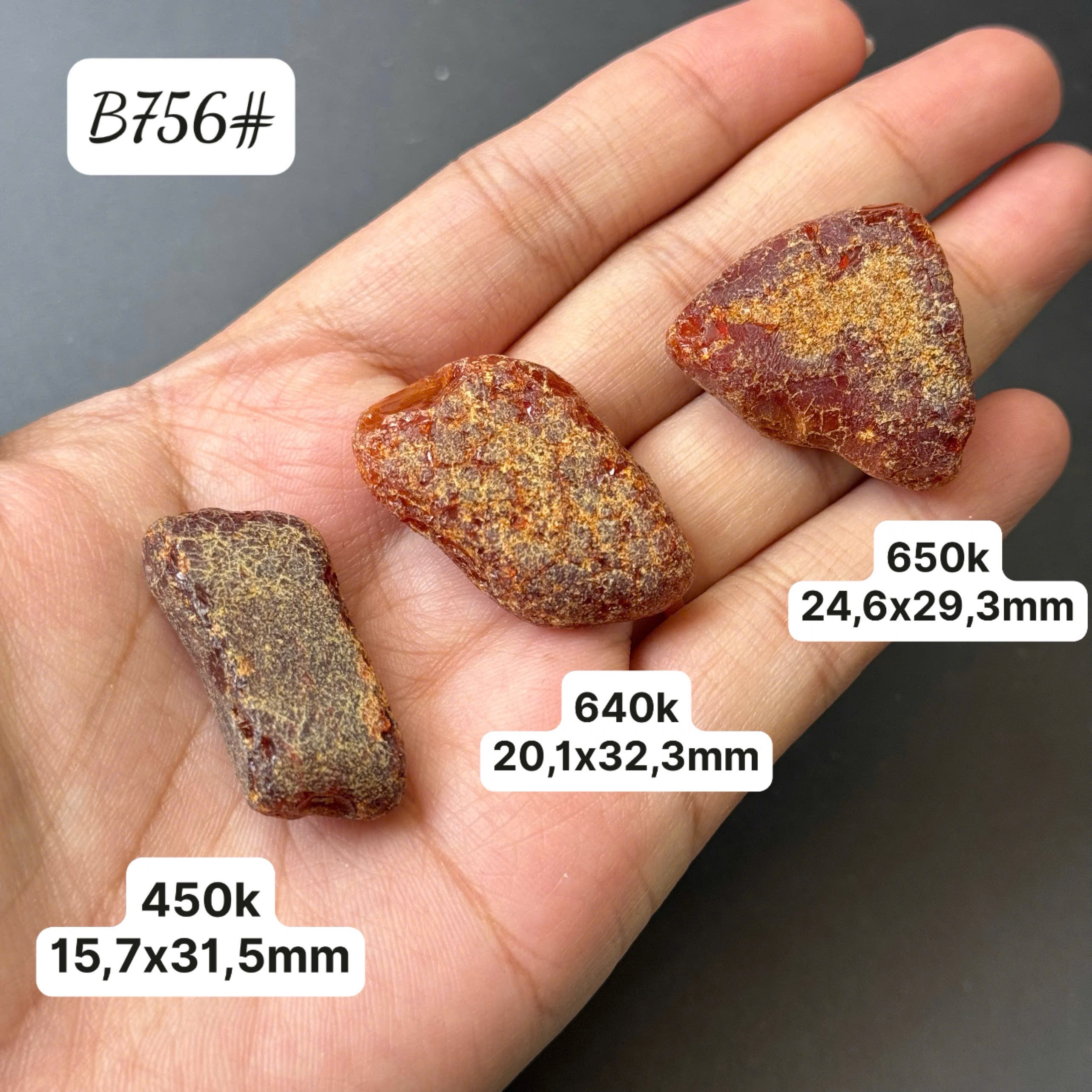 Viên huyết bỏ két B756