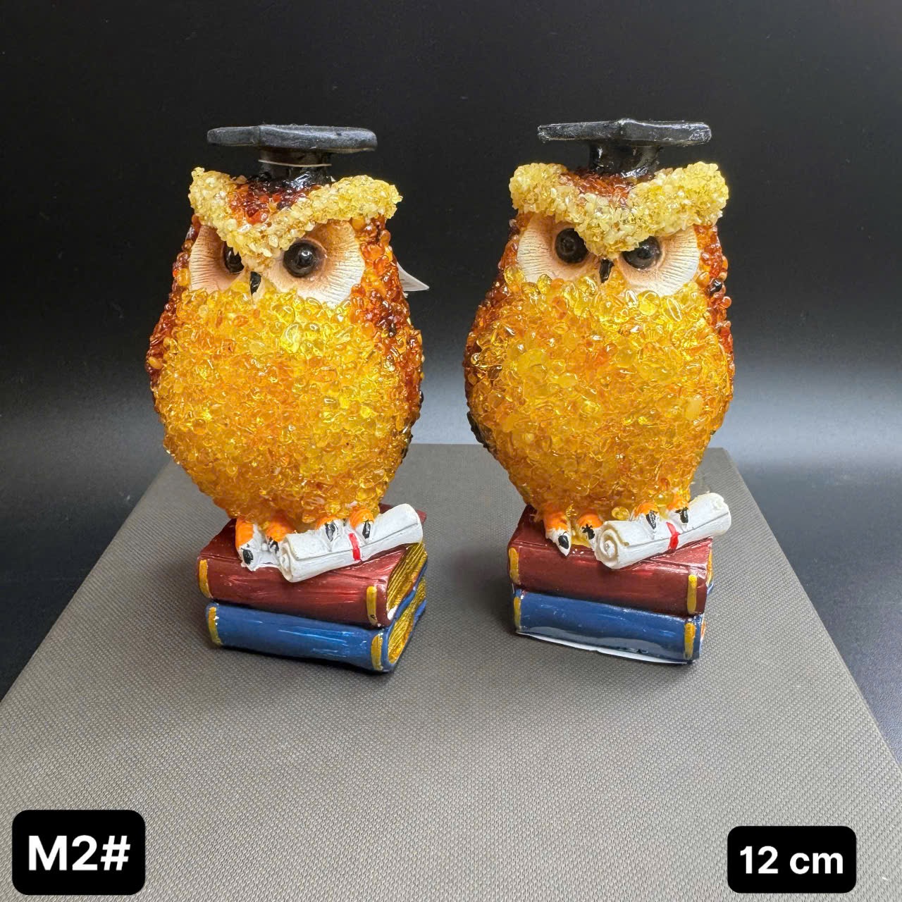 Cú học đường hổ phách M2