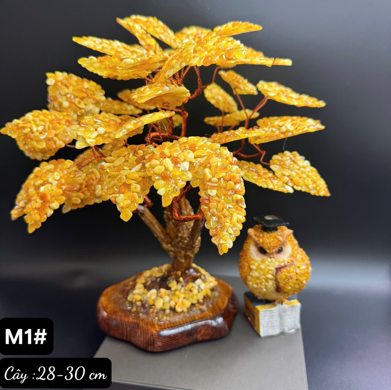 Cây hổ phách M1