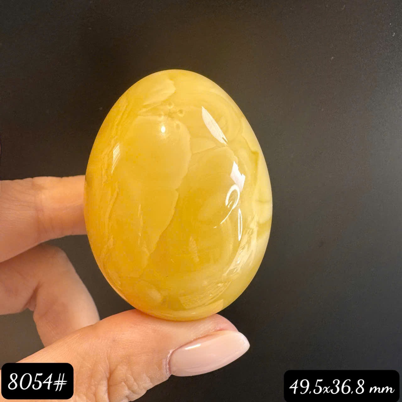 Trứng vàng hoàng gia 8054