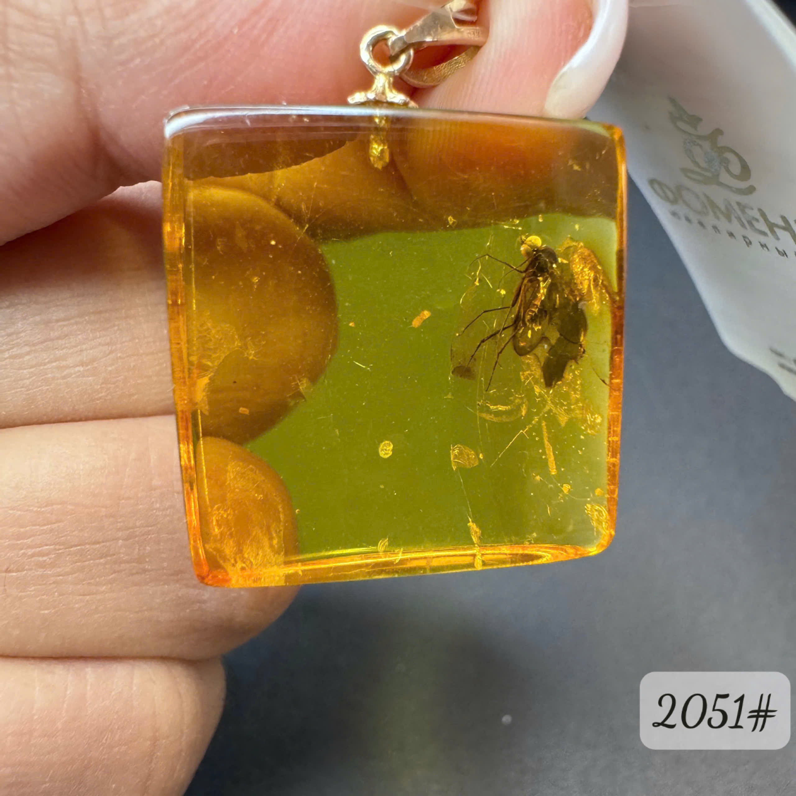 Mặt dây côn trùng 2051
