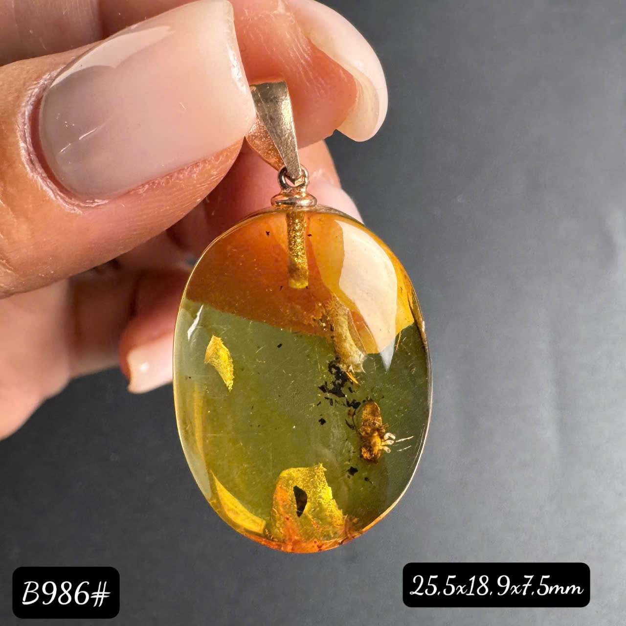 Mặt dây côn trùng B986