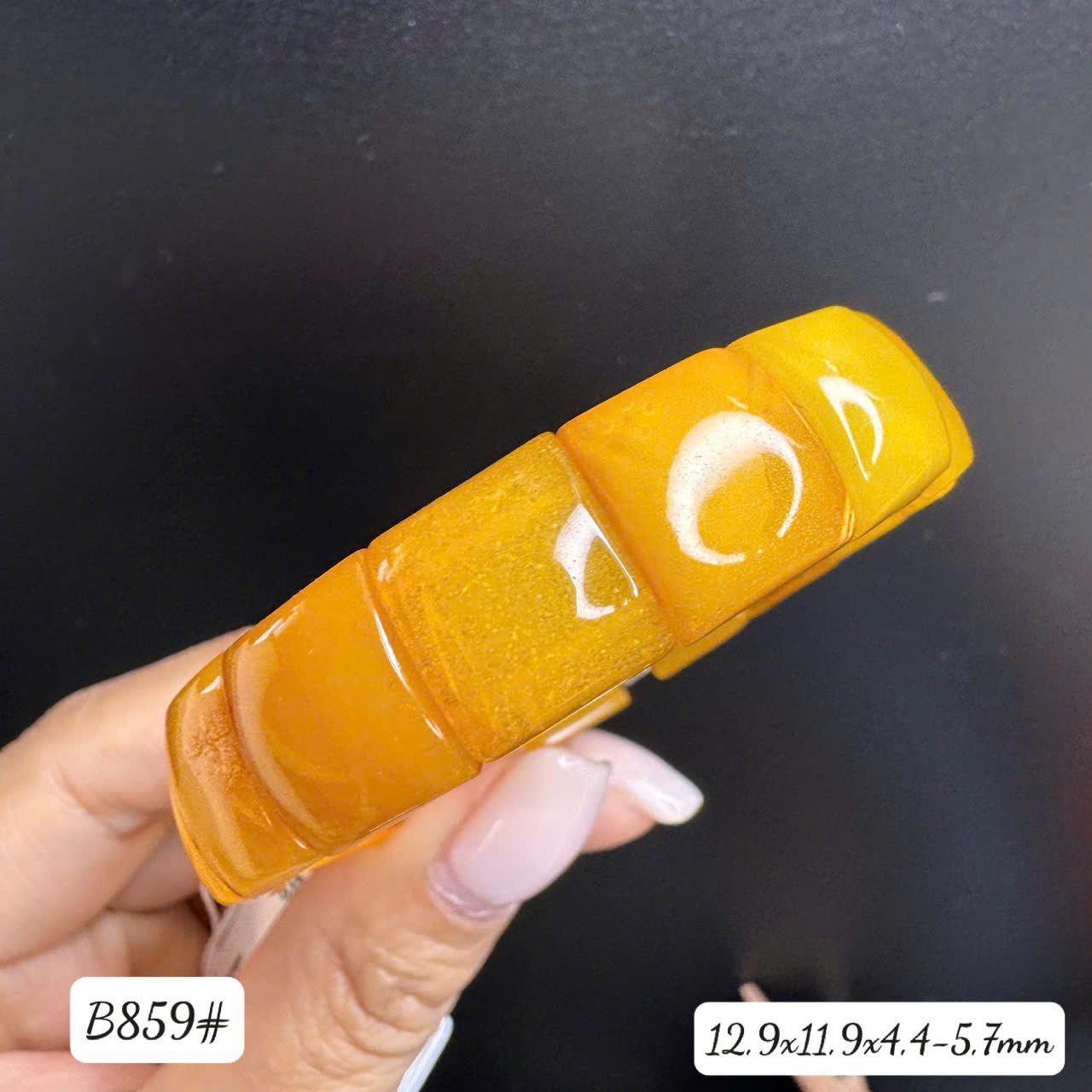 Lắc bản màu lạp B859