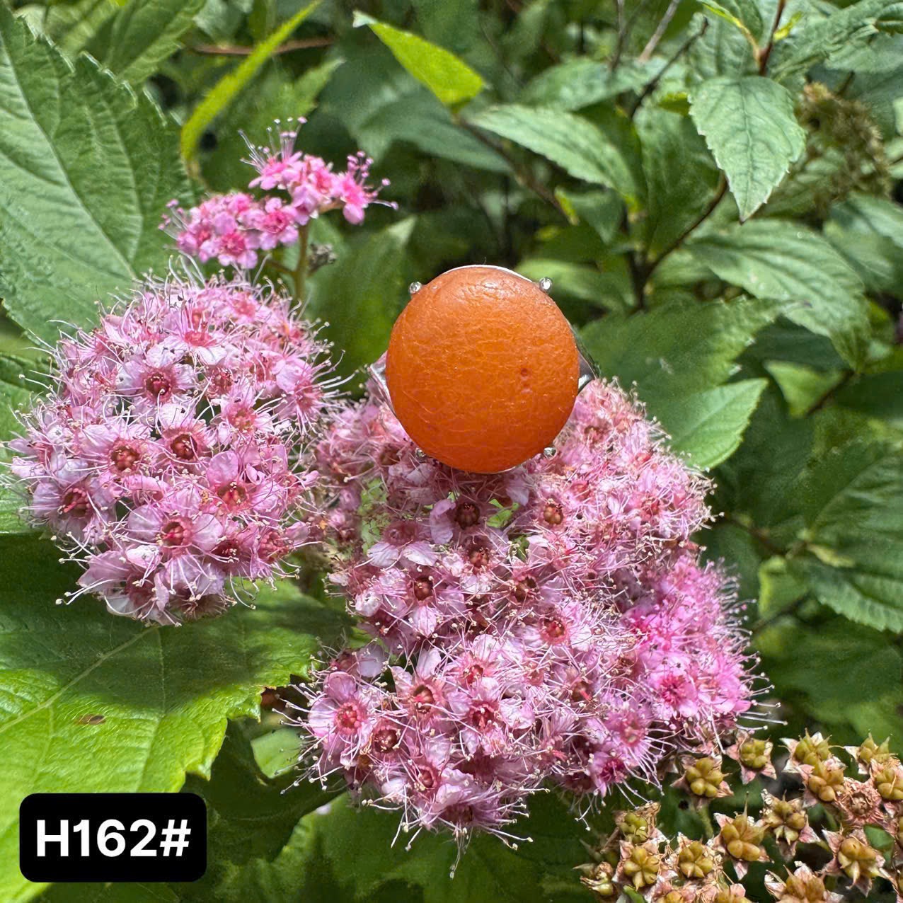 Nhẫn giọt trợ duyên kinh doanh H162