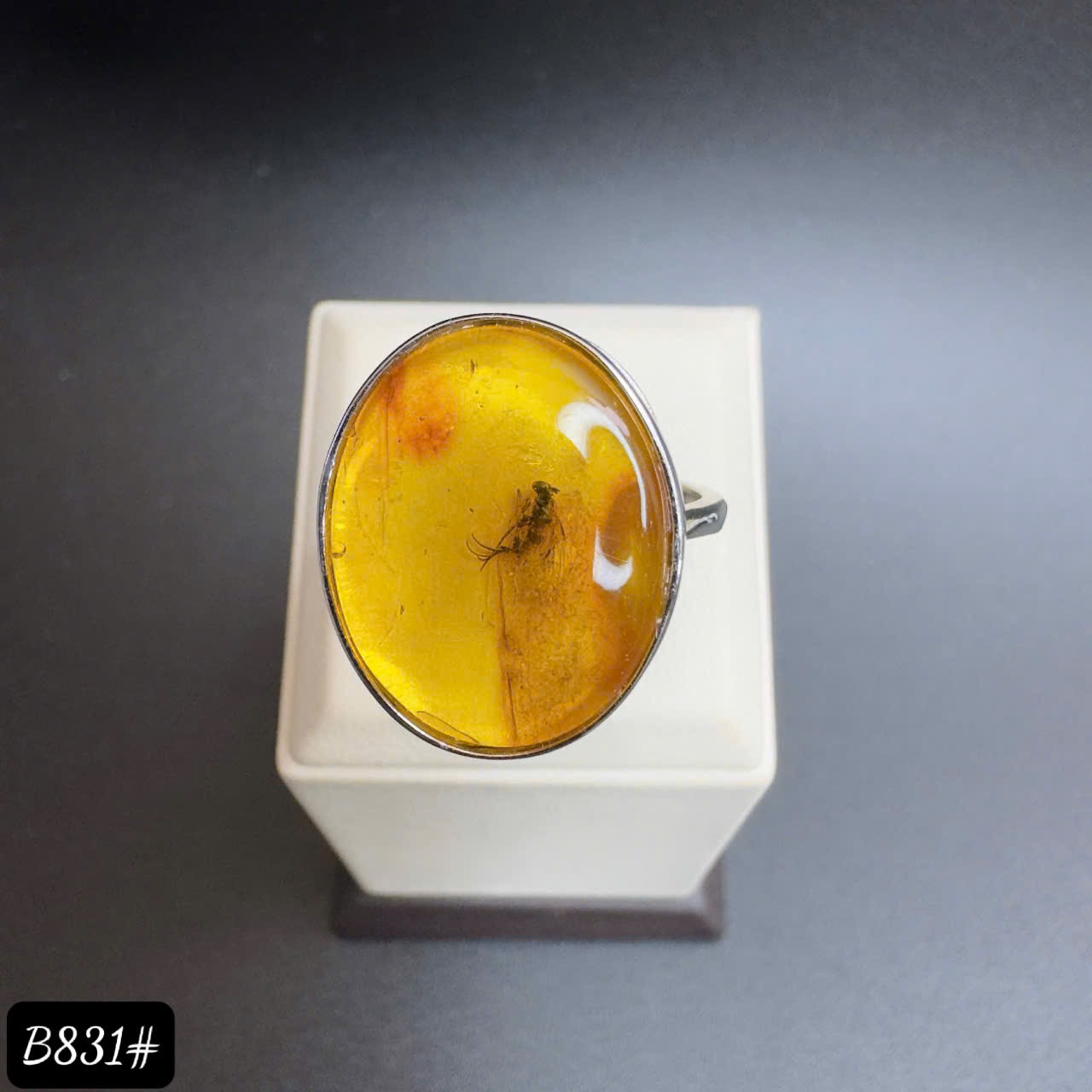 Nhẫn côn trùng B831