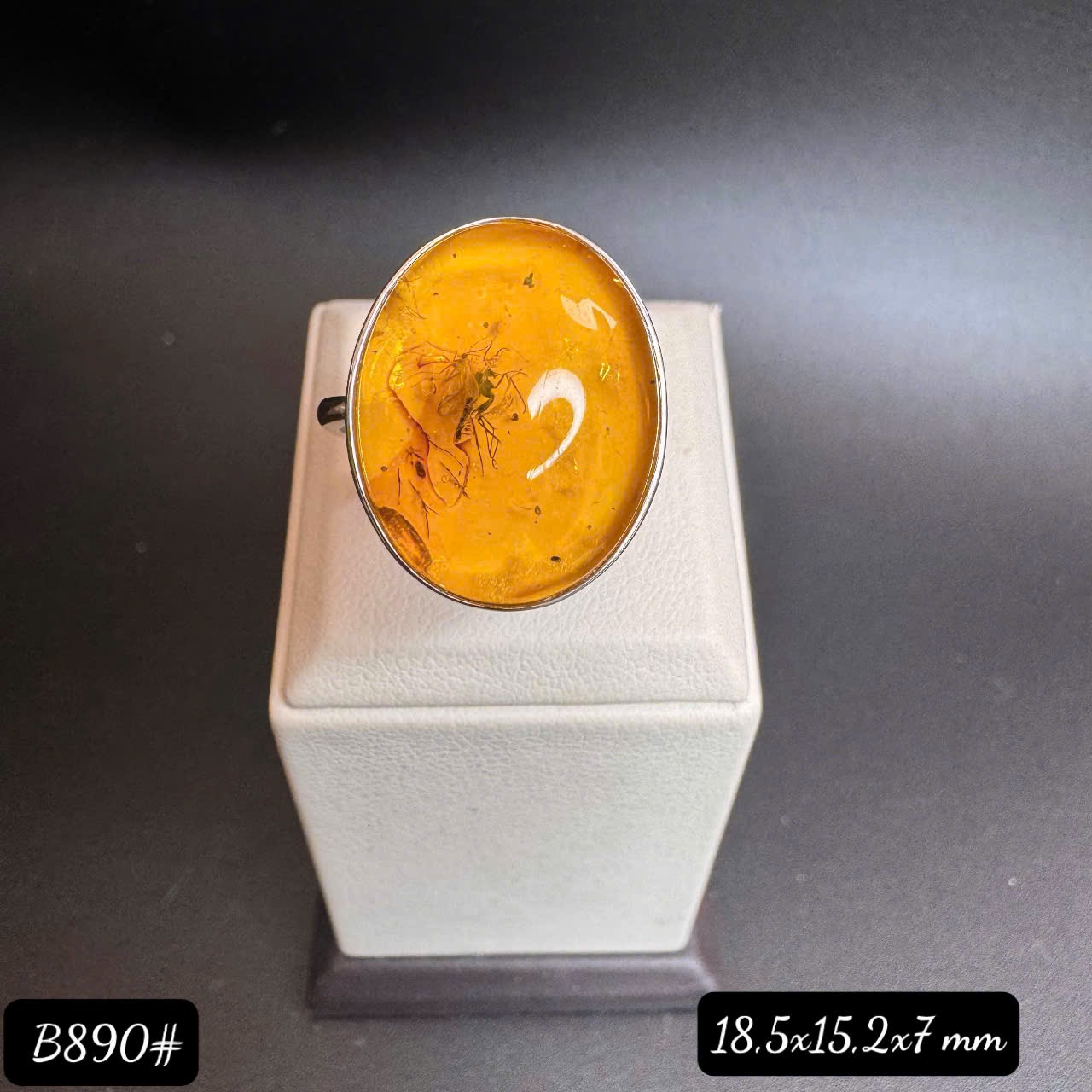 Nhẫn côn trùng B890